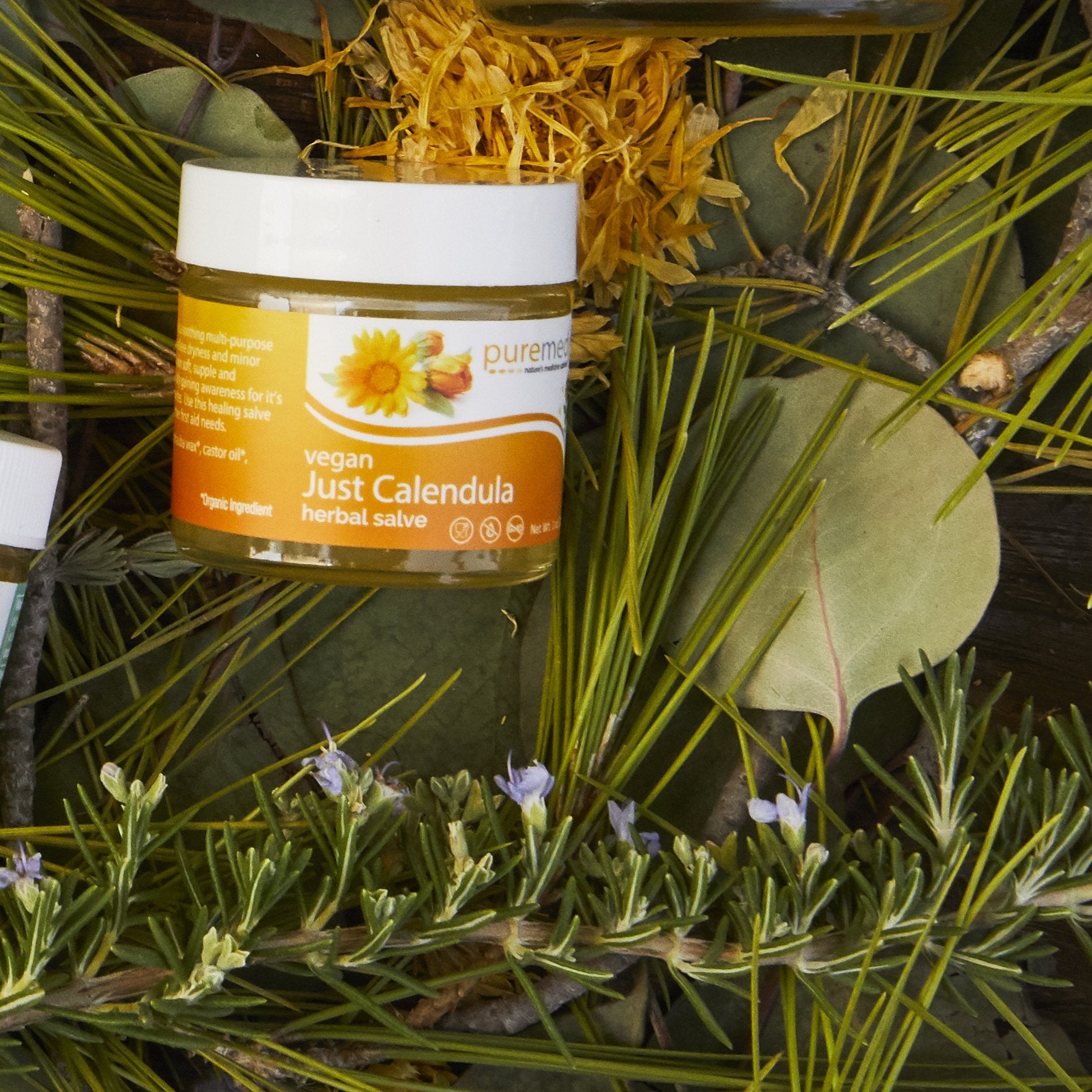 Puremedy Vegan Just Calendula Herbal Salve 1 Oz