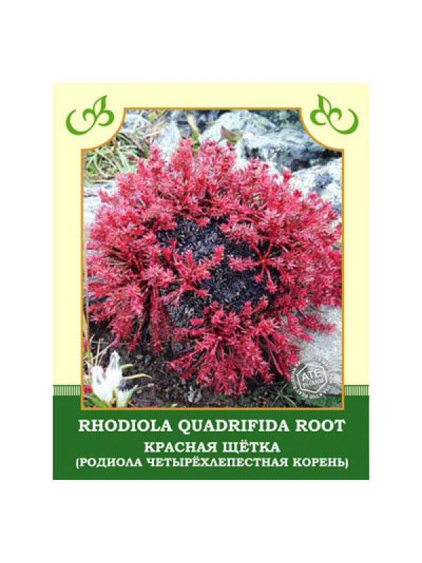 Красная щетка/ Rhodiola Quadrifida Root/ Rhodiola Rosea
